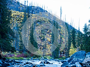 Fall colors at Tumwater Canyon