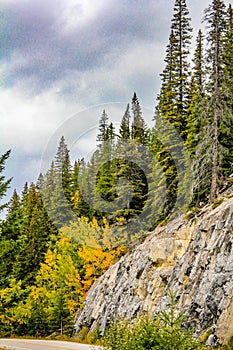 Fall colors Vermillion Lakes, Banff National Park, Alberta, Canada