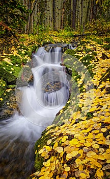 Rechazar colores cascada 