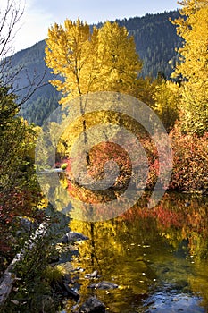 Fall Colors Wenatchee River Washin