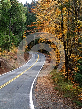 Fall Colors on a Mountain Road