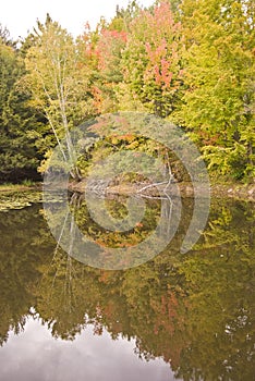 Fall colour reflection on water