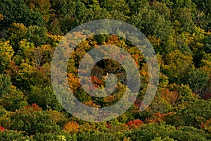 Fall colour seen from above, with telephoto lens, on King Mountain trail in Gatineau Park, near Ottawa, Canada. A forest of trees