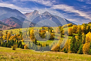 Meadows with trees in Bachledova dolina valley with Belianske Tatras on horizon