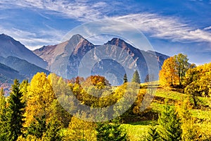 Fall coloured trees near Zdiar village under Belianske Tatras mountains during autumn