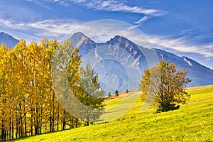 Jesene sfarbené stromy pri obci Ždiar pod Belianskymi Tatrami