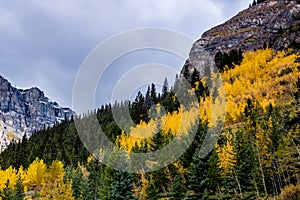 Fall colours in all their splender along the Bow Valley Parkway. Banff National Park Alberta Canada photo