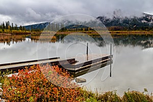 Fall colours around Vermillion Lakes Banff National Park Alberta Canada