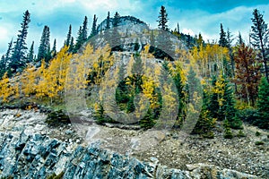 Fall colours around Vermillion Lakes, Banff National Park, Alberta, Canada