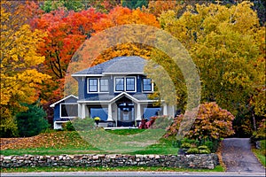 Fall Colours behind a house photo