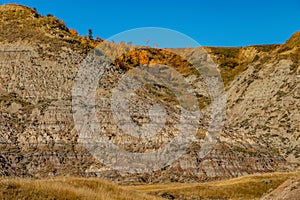 Fall colours dot the badlands. Tolman Badlands Heritage Rangeland Natural Area Alberta Canada