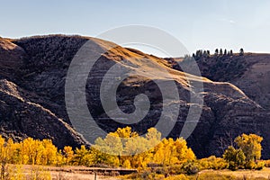 Fall colours dot the badlands. Tolman Badlands Heritage Rangeland Natural Area Alberta Canada