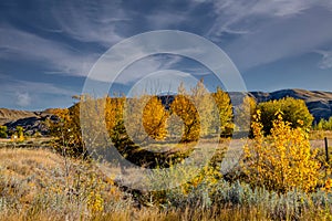 Fall colours dot the badlands. Tolman Badlands Heritage Rangeland Natural Area, Alberta, Canada