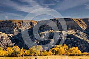 Fall colours dot the badlands. Tolman Badlands Heritage Rangeland Natural Area, Alberta, Canada