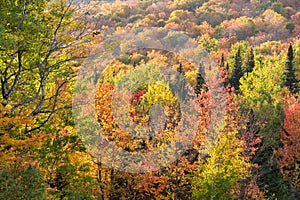 Fall colours in the Eastern Townships in Quebec