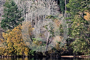 Fall Colours at Esquimalt Lagoon, Victoria, BC Canada