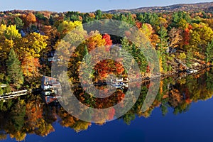 Fall colours along the lake photo