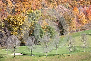 Fall Colours at the Green