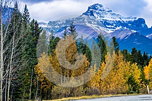 Taken from along the Ice Fields Parkwayl Banff National Park, Alberta, Canada