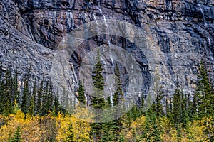 Weeping wall, Banff National Park, Alberta, Canada