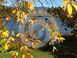 Fall Colours in Lake Placid, New York