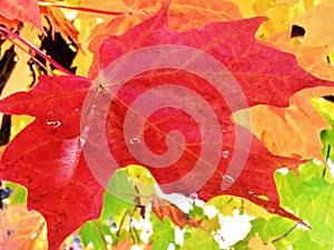 Fall Colours in Lake Placid, New York