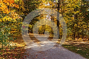 Fall colours - Maple Nature Reserve photo