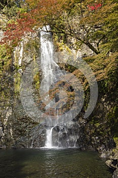 Fall colours in Minoo Forested Park and Waterfall, a natural recreation area in suburban Osaka, Japan