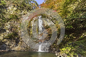 Fall colours in Minoo Forested Park and Waterfall, a spacious natural recreation area in Osaka, Japan