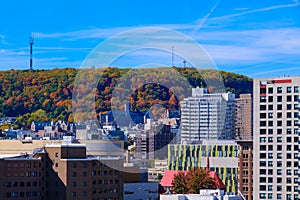 Fall colours at Mount Royal Park