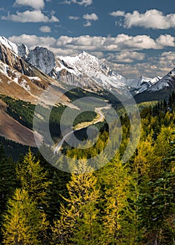 Fall colours in the mountains