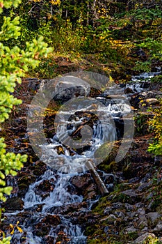 Fall colours at O`Shaunessy Falls. Bow Valley Wilderness Area, Alberta, Canada