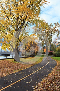 Fall Colours in Ottawa