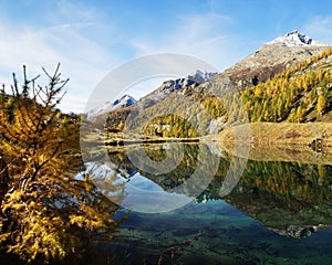 Fall Colours Reflecting In Mountain Lake