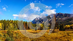 Fall Colours in the Rocky Mountains in Banff National Park