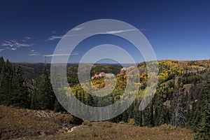 Fall colours in Southern Utah