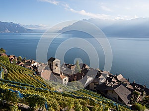 Fall Colours at Saint-Saphorin
