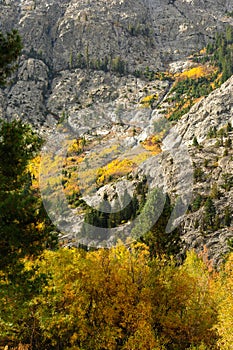 Fall Comes To The Eastern Sierra's