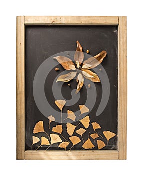 Fall composition blackboard autumn flower leaf