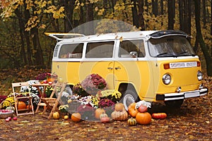 fall composition with old van, pumpkins, flowers and picnic chairs and table on the autumn forest background