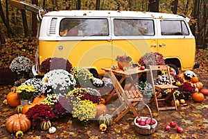 fall composition with old van, pumpkins, flowers and picnic chairs and table on the autumn forest background