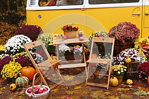 fall composition with old van, pumpkins, flowers and picnic chairs and table on the autumn forest background