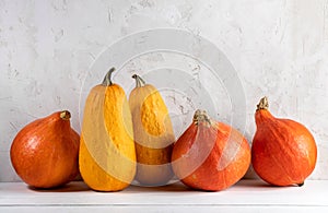 Fall composition of orange pumpkins and courgettes on white wood table on plastered wall backdrop.