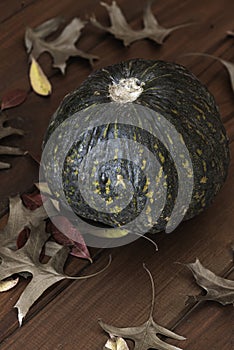 Fall composition squash with leaves for halloween celebration