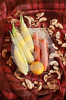 Fall composition for thanksgiving day with corn,apple,mushrooms and pumpkin.