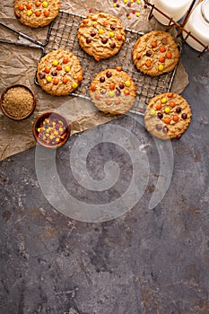 Fall cookies with candy