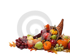 Fall cornucopia on a White back ground