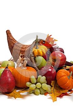 Fall cornucopia on a White back ground