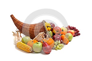 Fall cornucopia on a White back ground