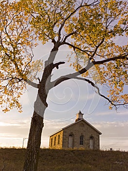 Fall Cottonwood Tree and Limestone One Room School photo